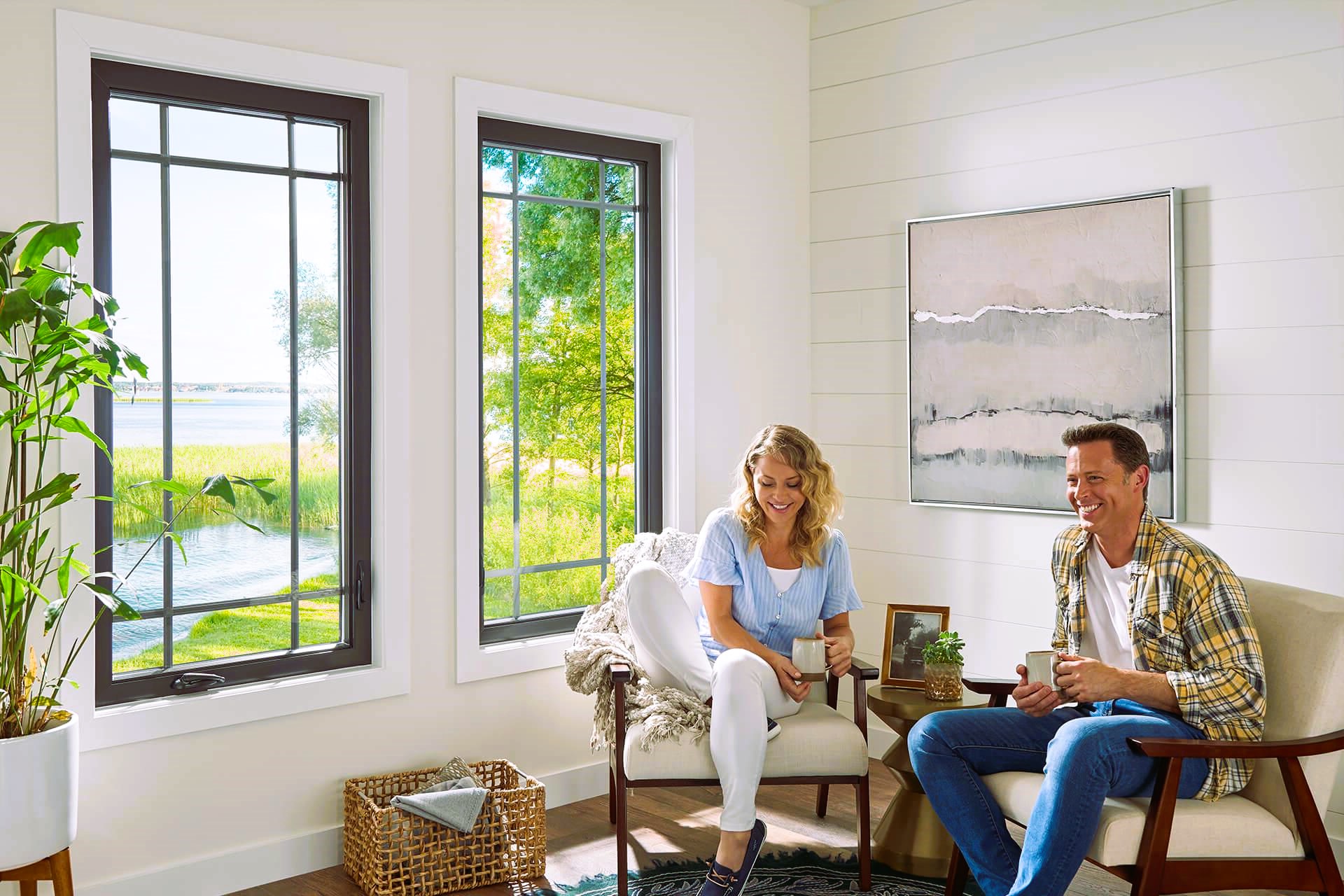 The Role of Windows in Energy Efficiency - Birds and Buildings