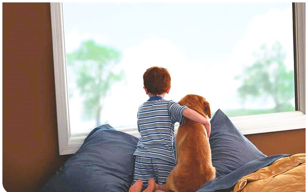 Child and dog at the window
