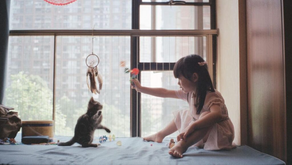 Young girl playing with kitten by large apartment window